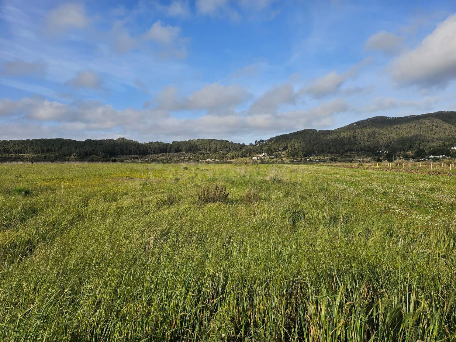 Terreno rural en venta - Santa Agnés de Corona - Sant Mateu  - foto 2