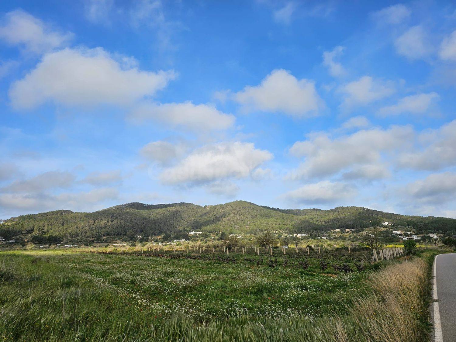 Terreno rural en venta - Santa Agnés de Corona - Sant Mateu  - foto 5