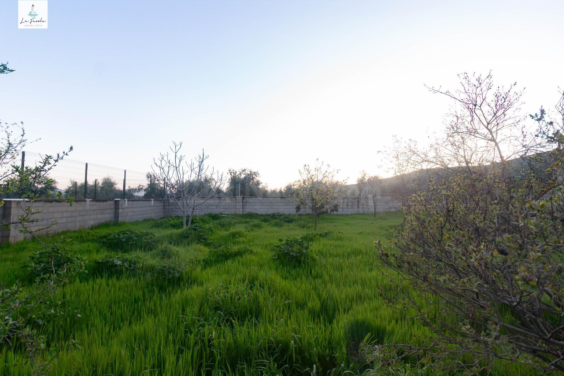 CHALET RUSTICO MEDITERRANEO CON GRAN JARDIN EN ARCHIDONA - foto 2