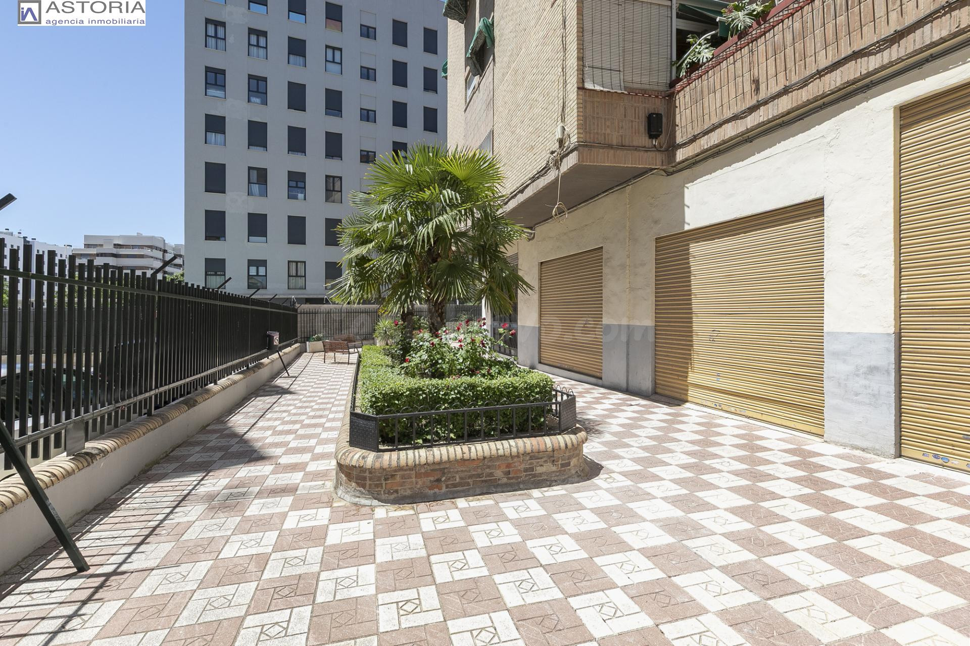 LOFT A ESTRENAR EN LA CHANA – DISEÑO MODERNO Y MÁXIMO APROVECHAMIENTO DEL ESPACIO