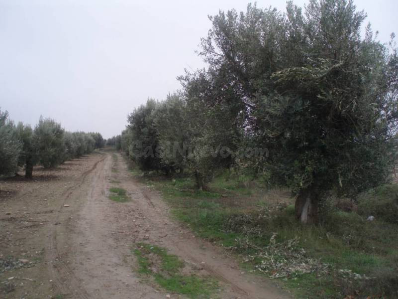 Terreno en venta - foto 3