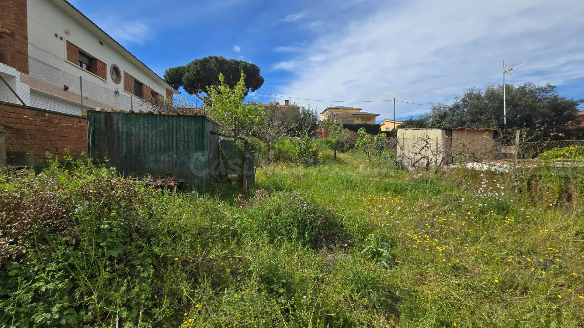 Terreno muy plano bien ubicado - foto 3