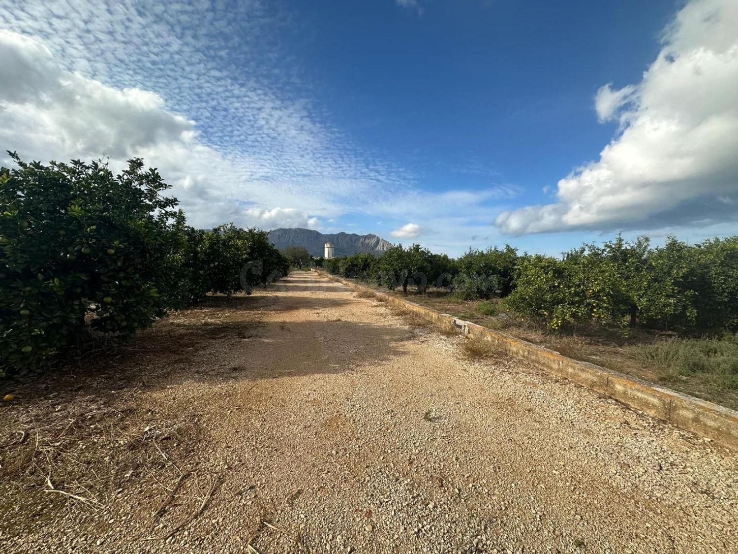 Terreno rural en venta - POLIGONO - foto 4