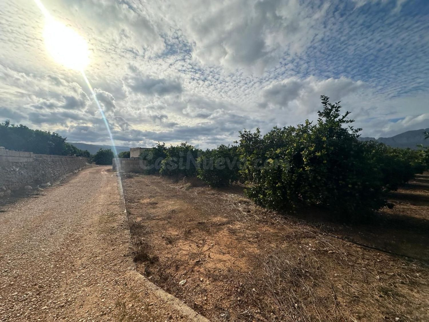 Terreno rural en venta - POLIGONO - foto 5