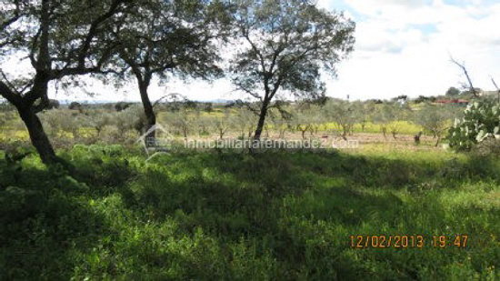 Se vende Parcela de 8.200 m2 vallado, en Arroyo de la Luz