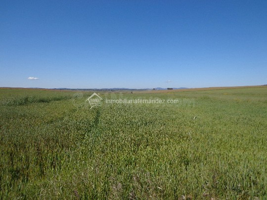 Terreno rural en venta - SIERRA DE FUENTES