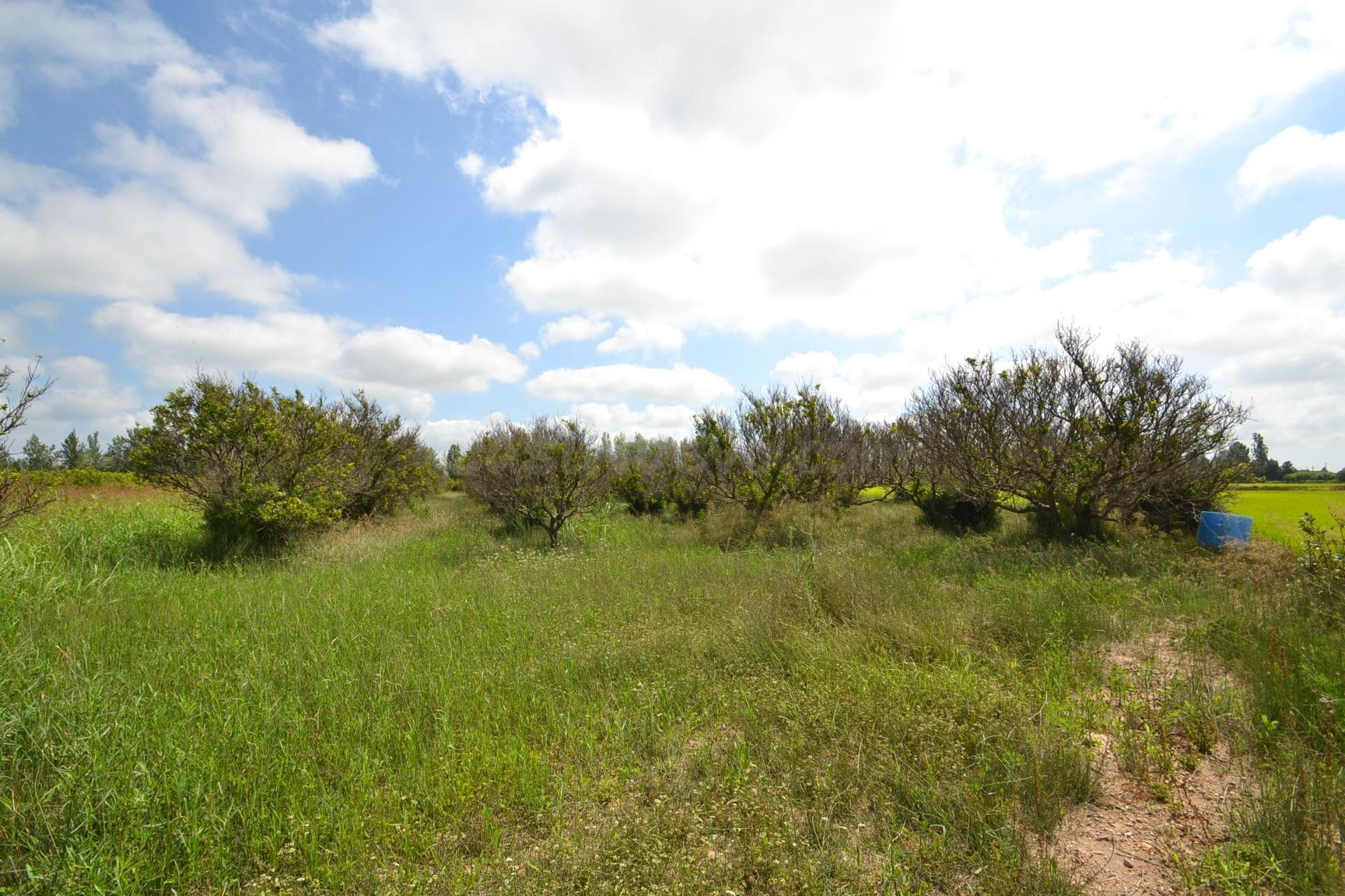 Finca rústica en venta - Balada