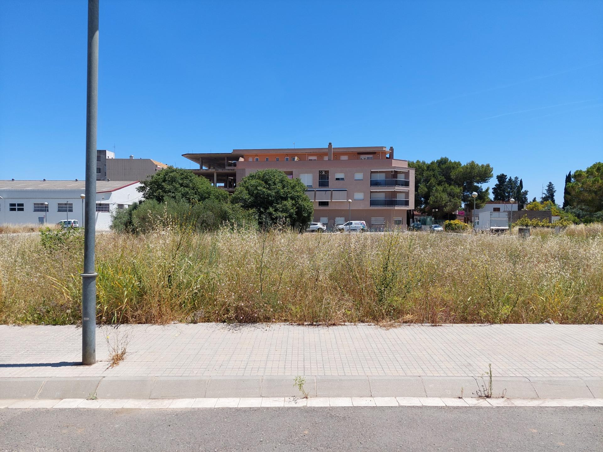 Parcela en venta - Escoles - foto 5