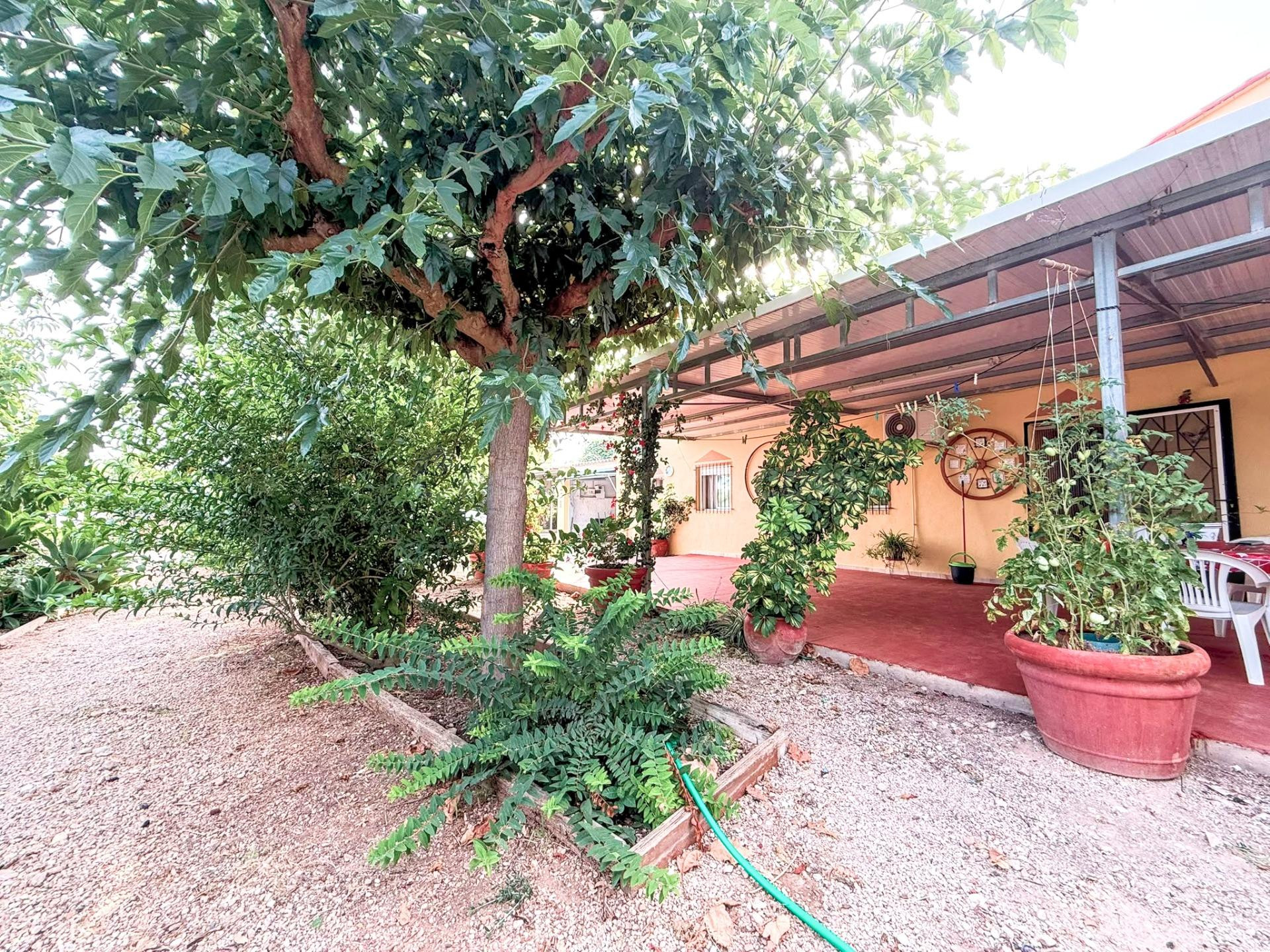 FANTASTICA MASIA CON PISCINA Y AMPLIA PARCELA EN VENTA