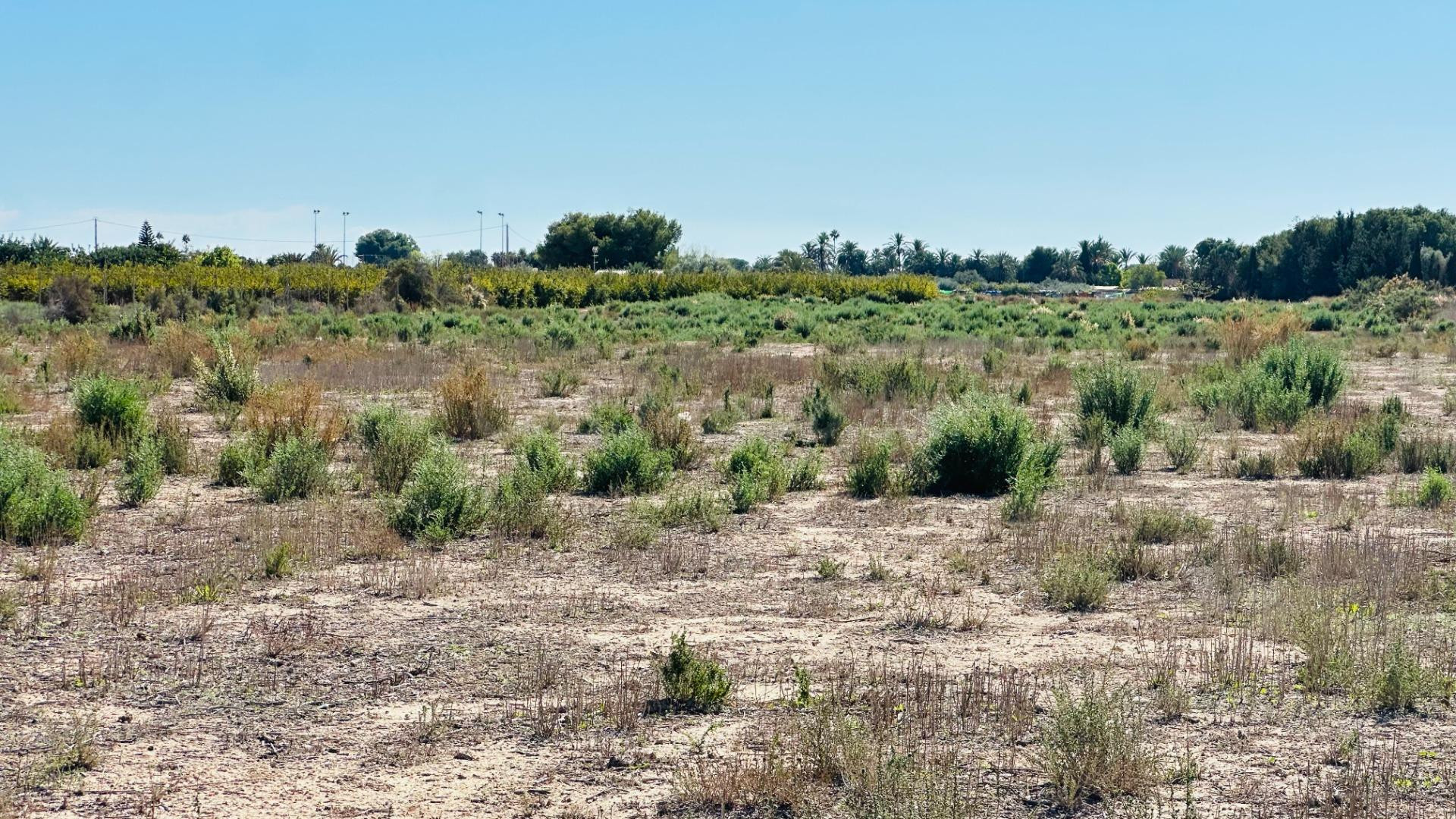 Terreno de 12.000 m2 en Perleta.