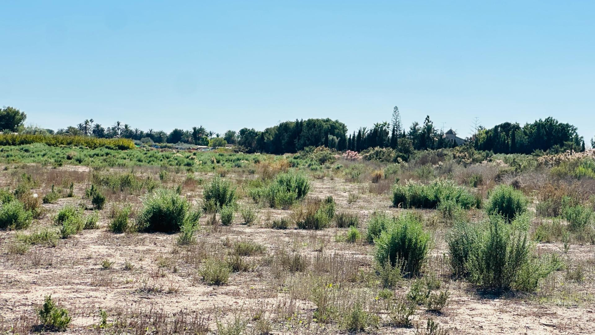 Terreno de 12.000 m2 en Perleta. - foto 2