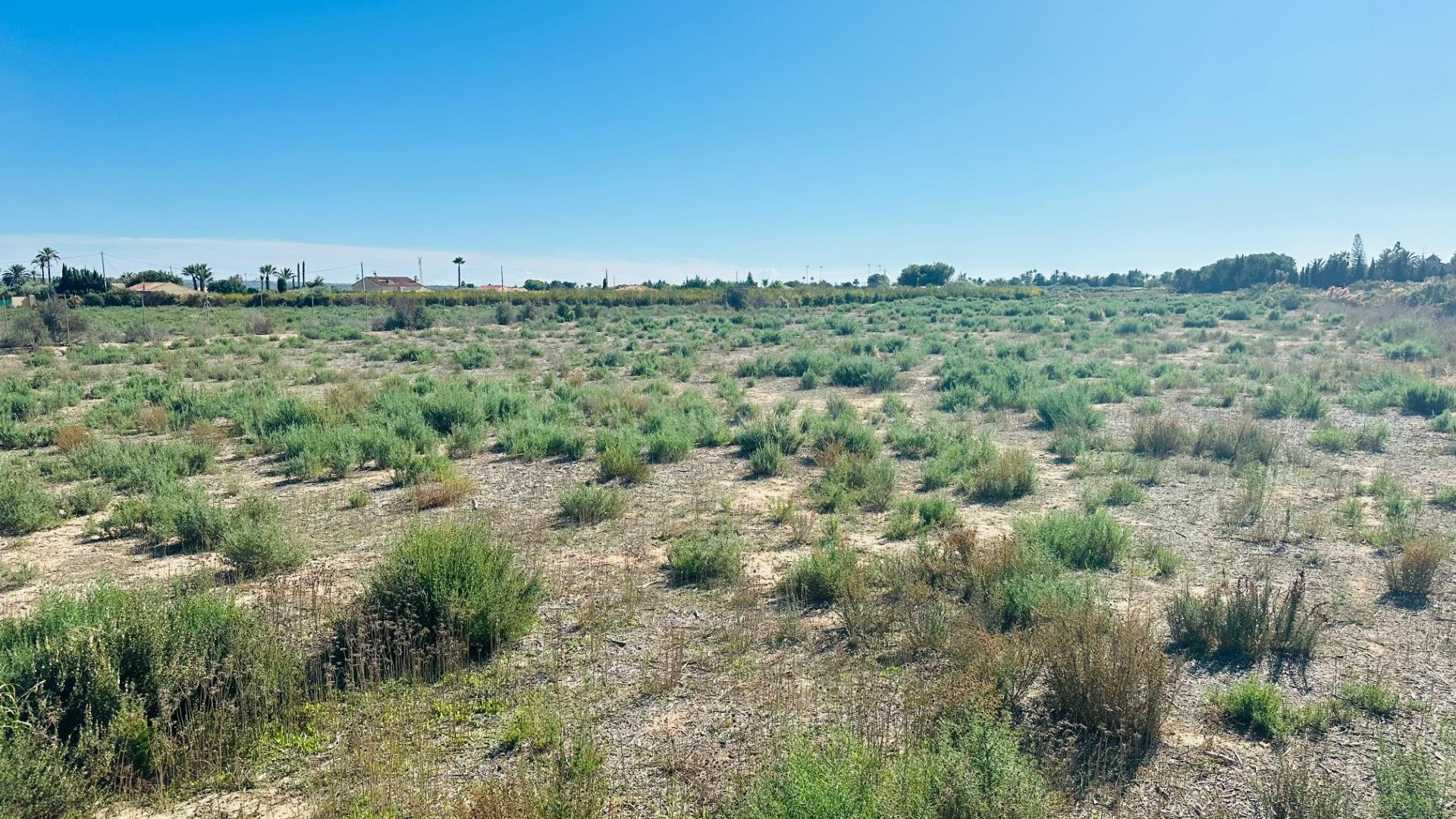 Terreno de 12.000 m2 en Perleta. - foto 4