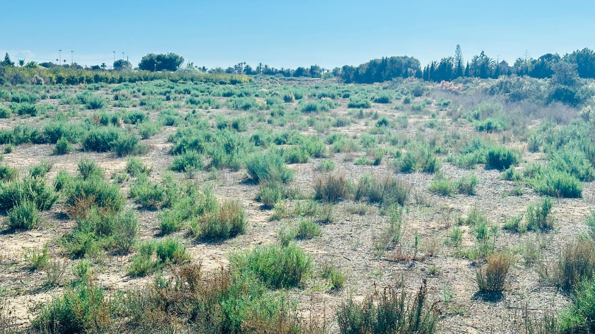 Terreno de 12.000 m2 en Perleta. - foto 5