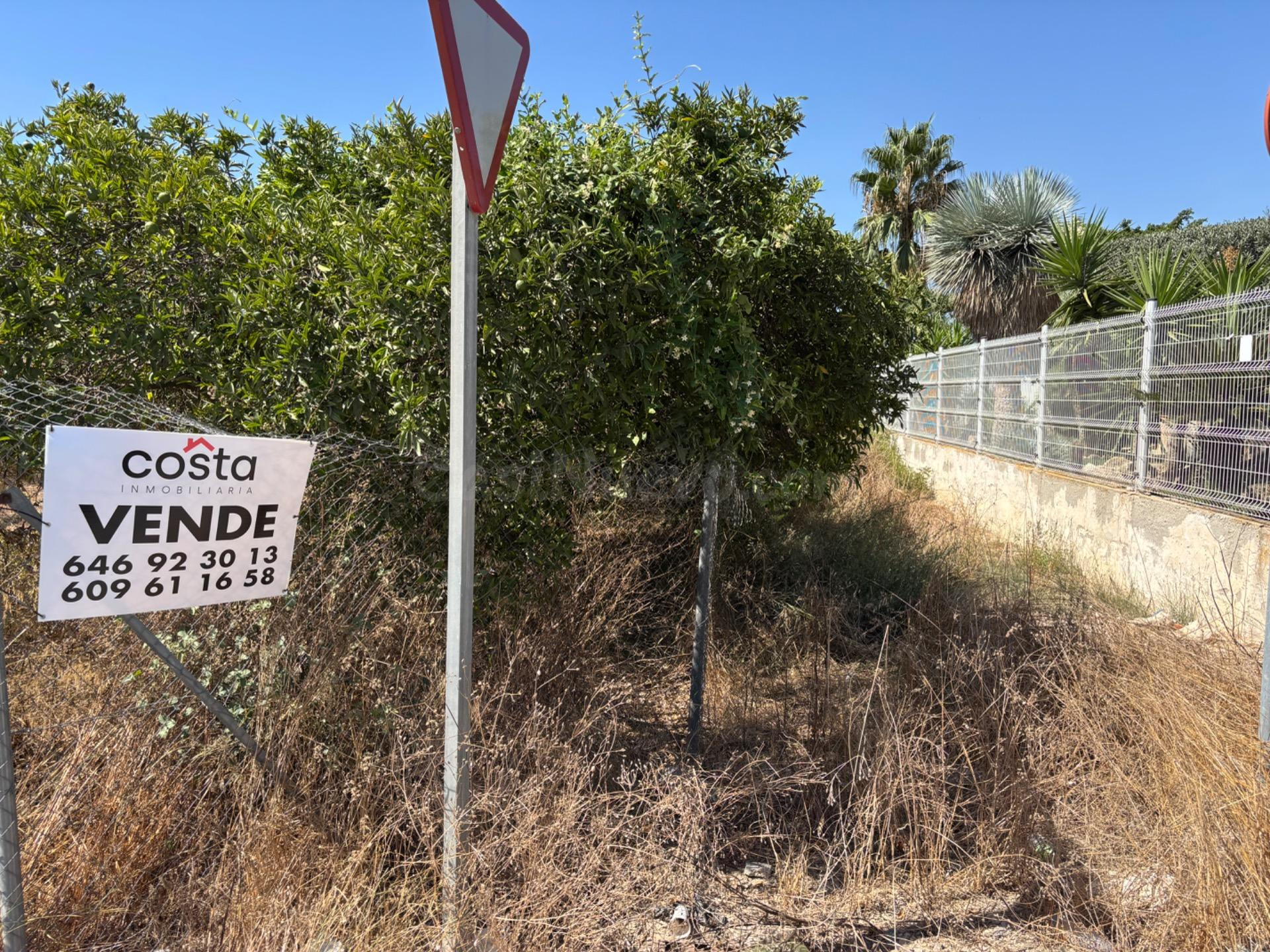 Se vende bonita parcela edificable en Zeneta (Alquerías) - foto 3
