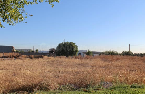 Parcela 500m² en venta - La Paz - Montecarmelo - foto 2