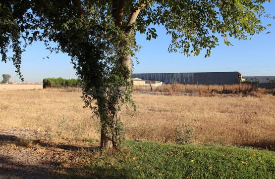 Parcela 500m² en venta - La Paz - Montecarmelo - foto 3