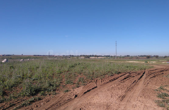 Parcela 1956m² en venta - La Paz - Montecarmelo - foto 2