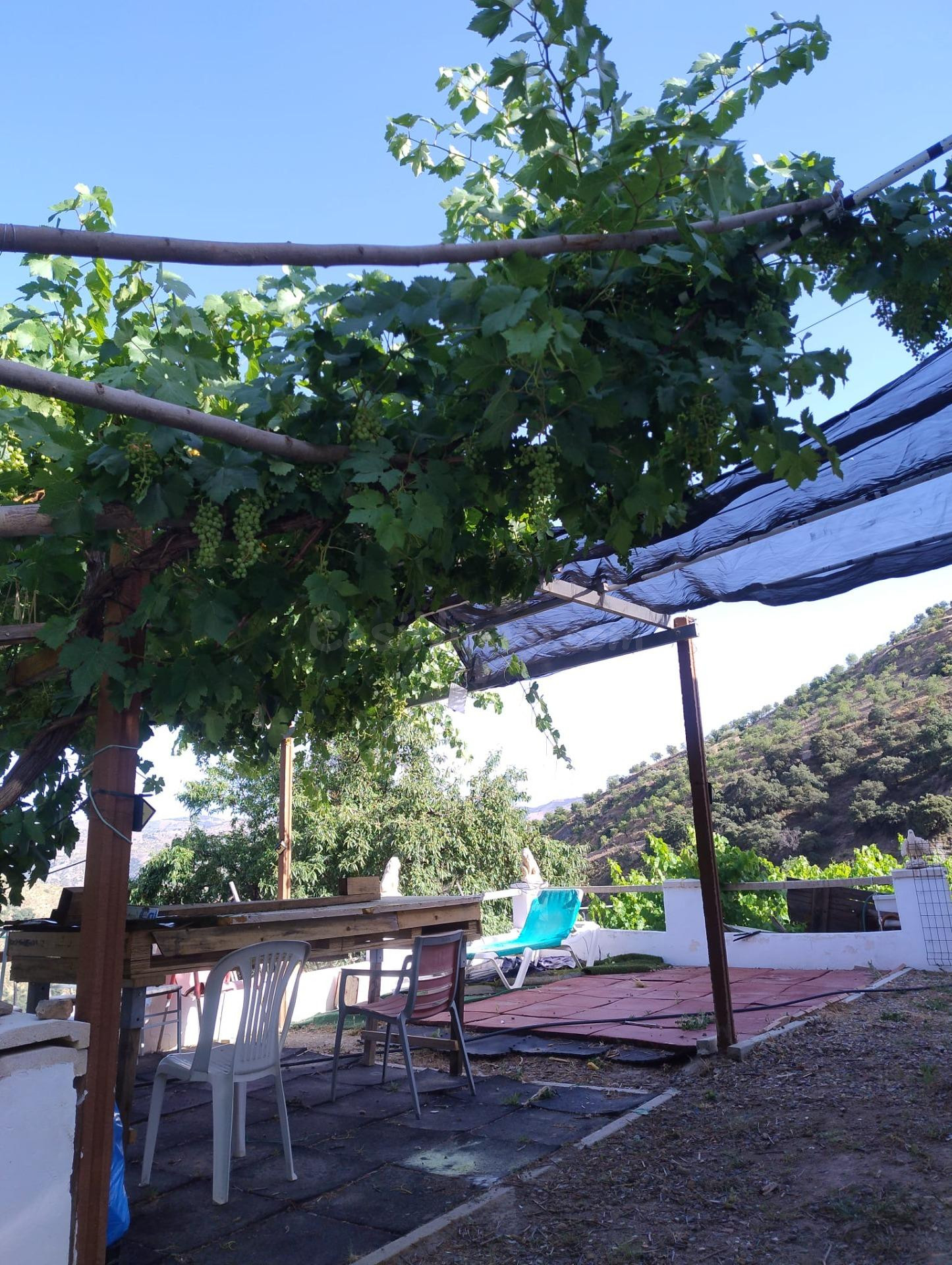 VENTA DE CASA-CORTIJO CON TERRENO EN LA ALPUJARRA GRANADINA. - foto 5