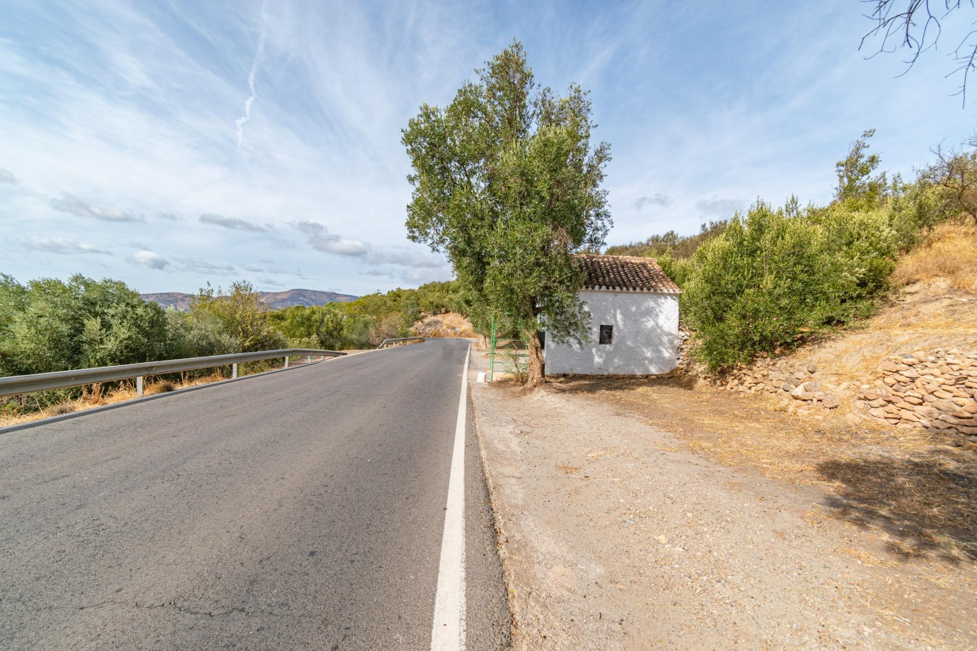 Finca rústica en venta - Órgiva  Alpujarra Granada - foto 3