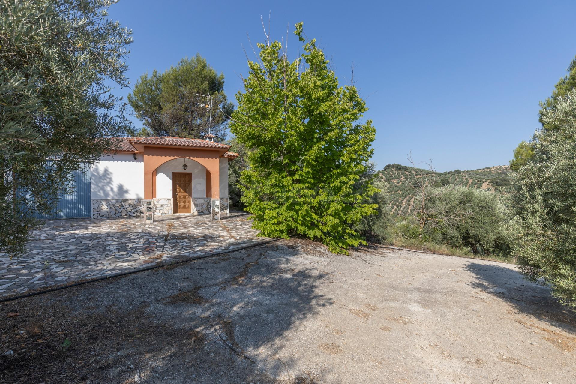 FINCA DE OLIVOS EN MONTEFRÍO - foto 4