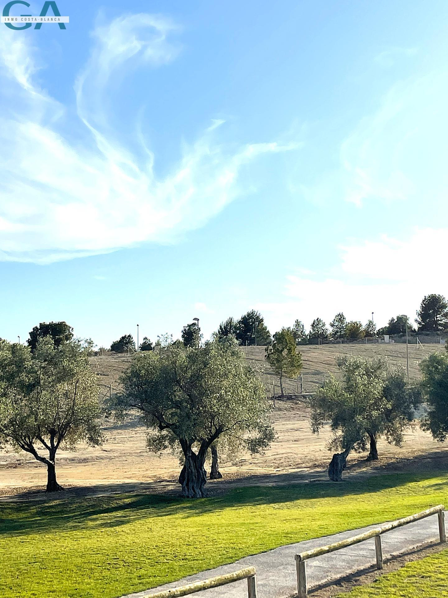 Parcelas en Alenda Golf – Vistas al Green y Máxima Edificabi - foto 4