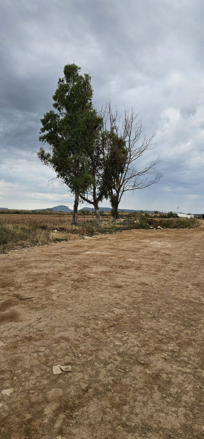 Terreno rural 248m² en venta - Sucina - foto 4