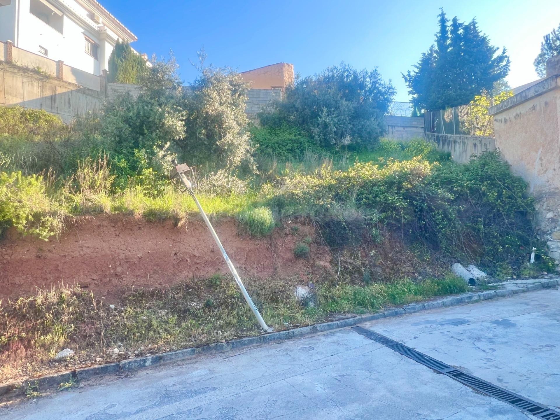 NÍVAR-GRANADA