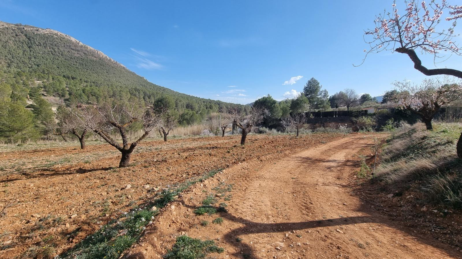 Venta terreno en Bullas proximo a "Salto de Usero" - foto 4