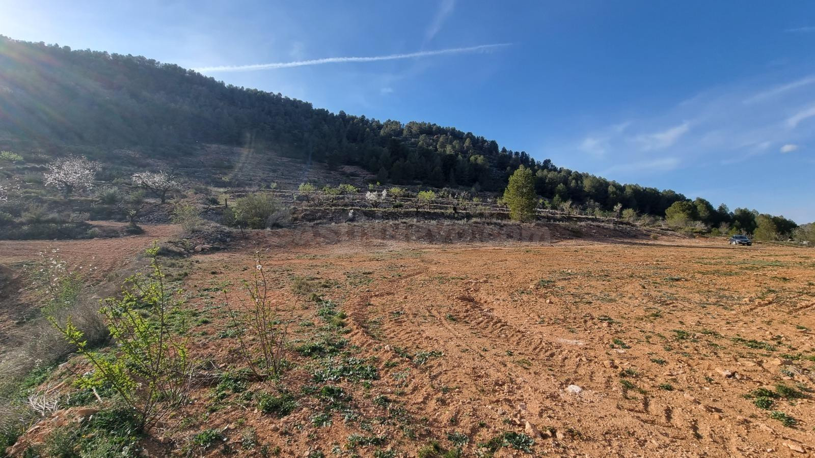 Venta de Terreno en Bullas, proximo al "Salto del Usero" - foto 4