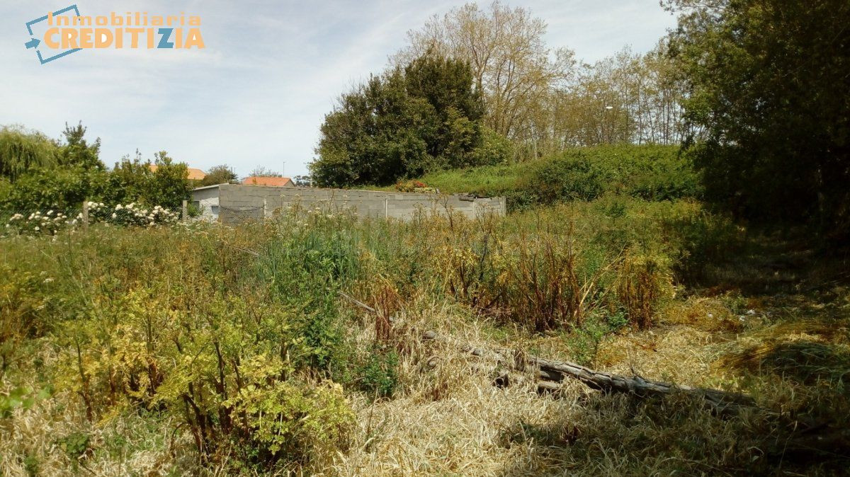 FINCA RUSTICA - foto 3