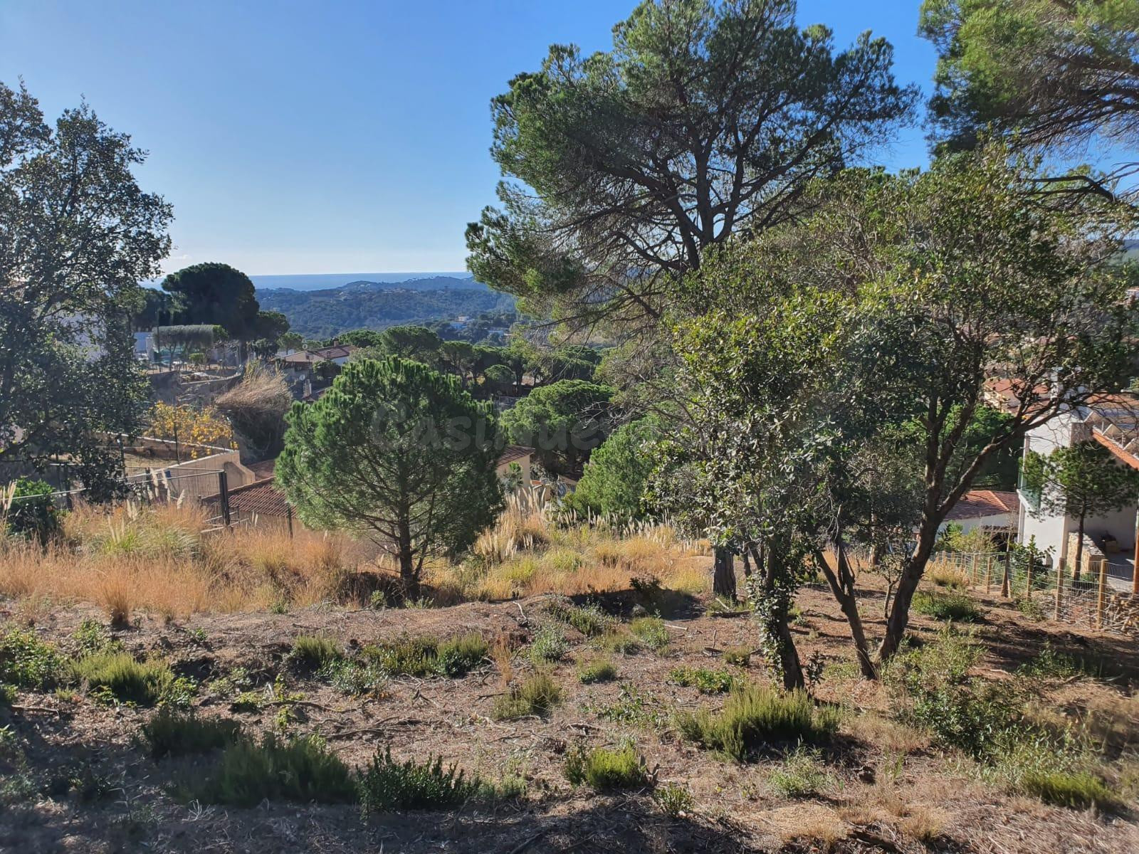 Terreno en venta en la urbanización Los Pinares con vista al - foto 3