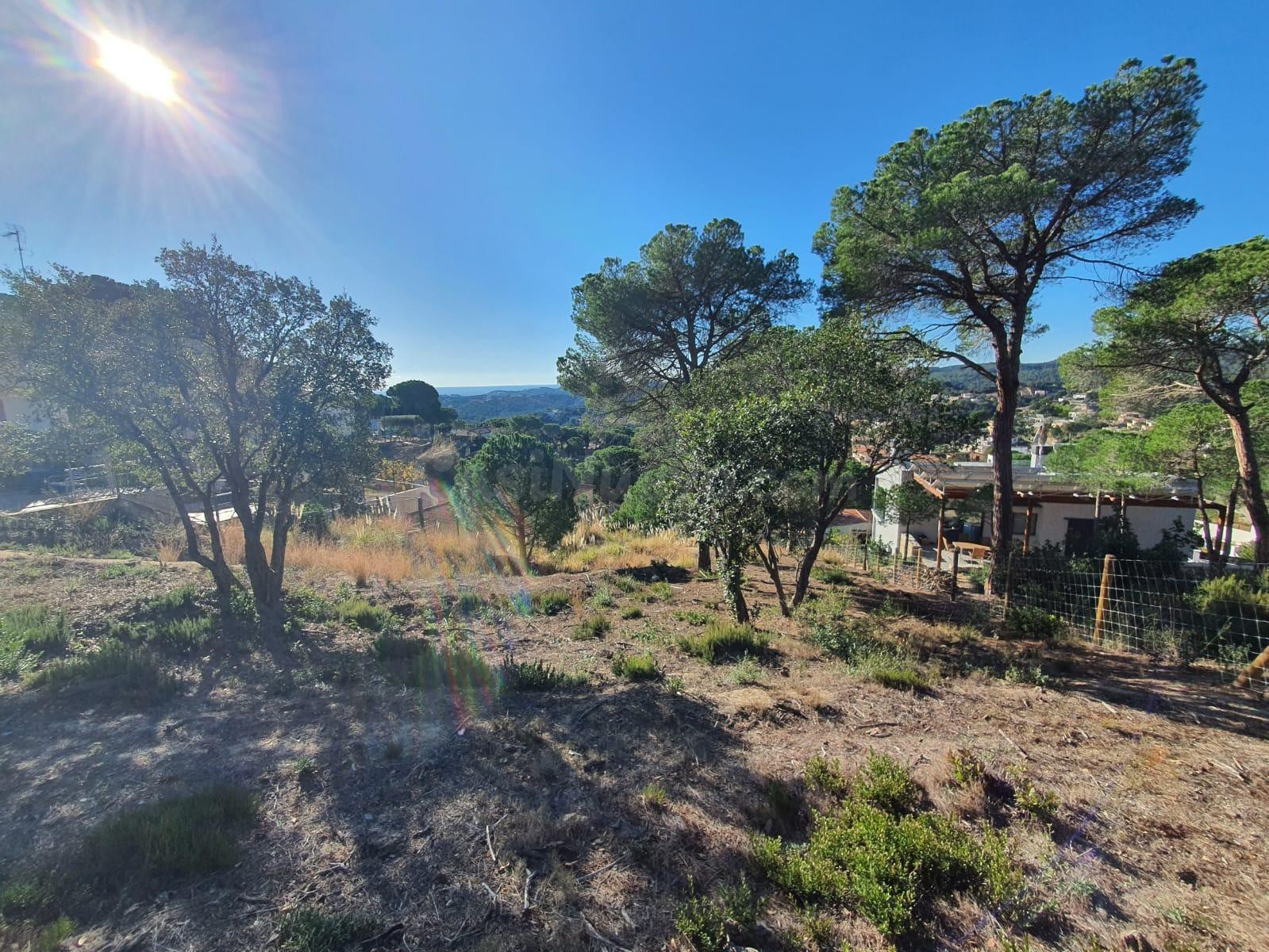 Terreno en venta en la urbanización Los Pinares con vista al - foto 5