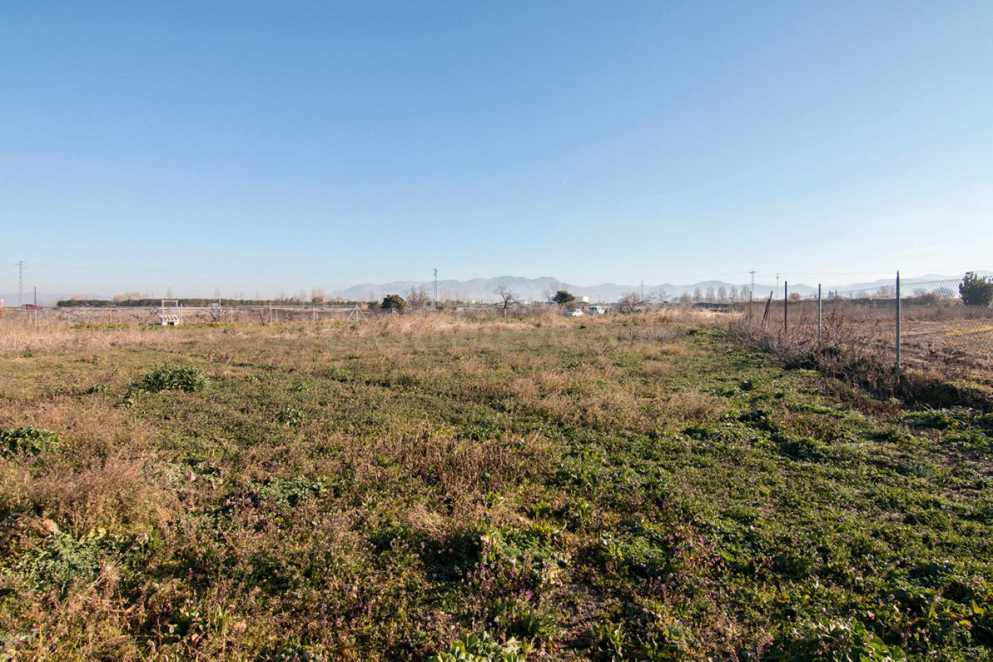 Terreno rural en venta - Ronda - Arabial