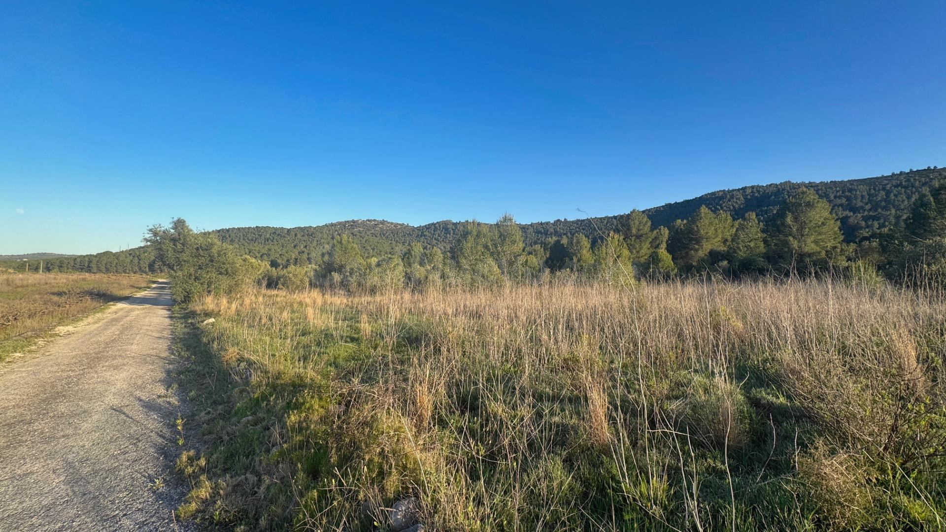 Parcela en venta en Jalón con vistas abiertas y gran potenci