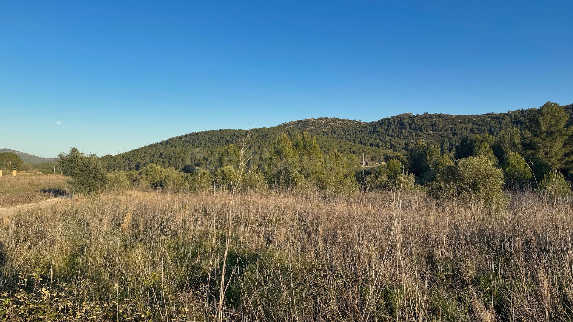 Parcela en venta en Jalón con vistas abiertas y gran potenci - foto 4