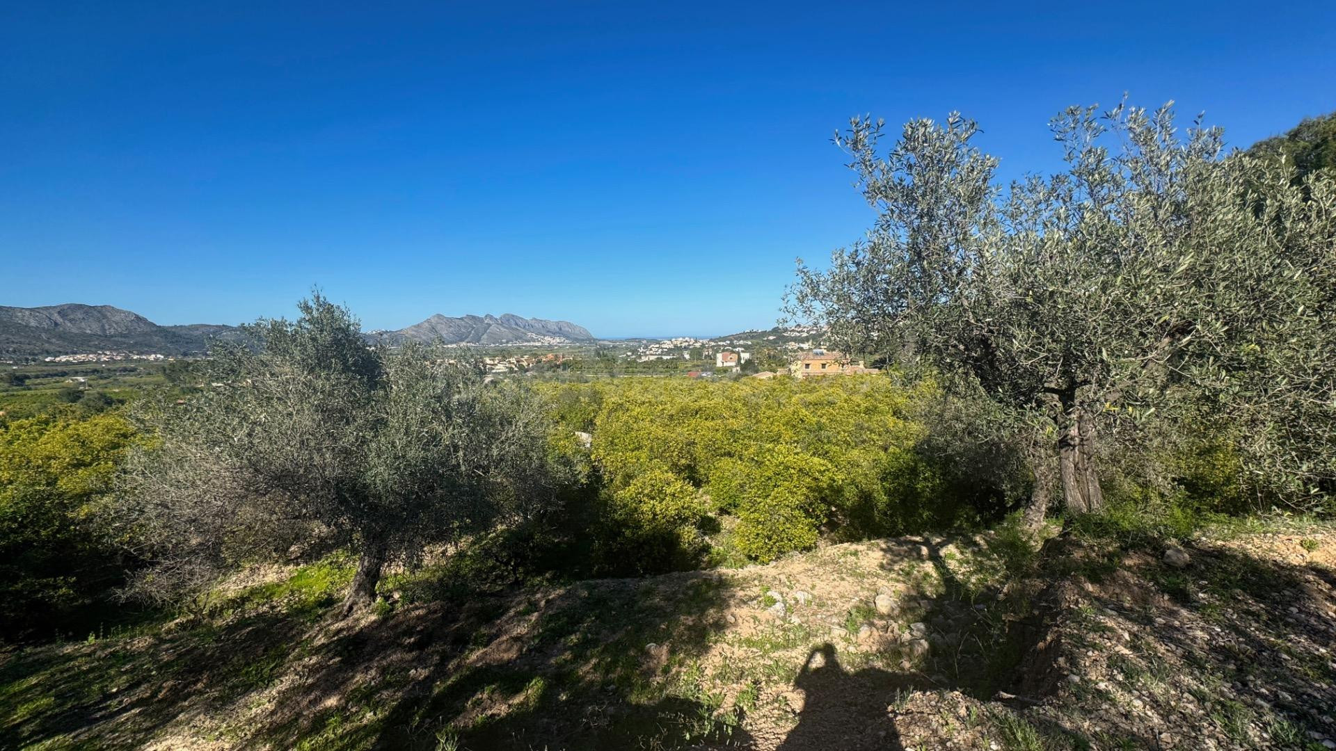 Exclusiva Parcela Rústica en Orba con Vistas al Mar para construir la casa de tus sueños