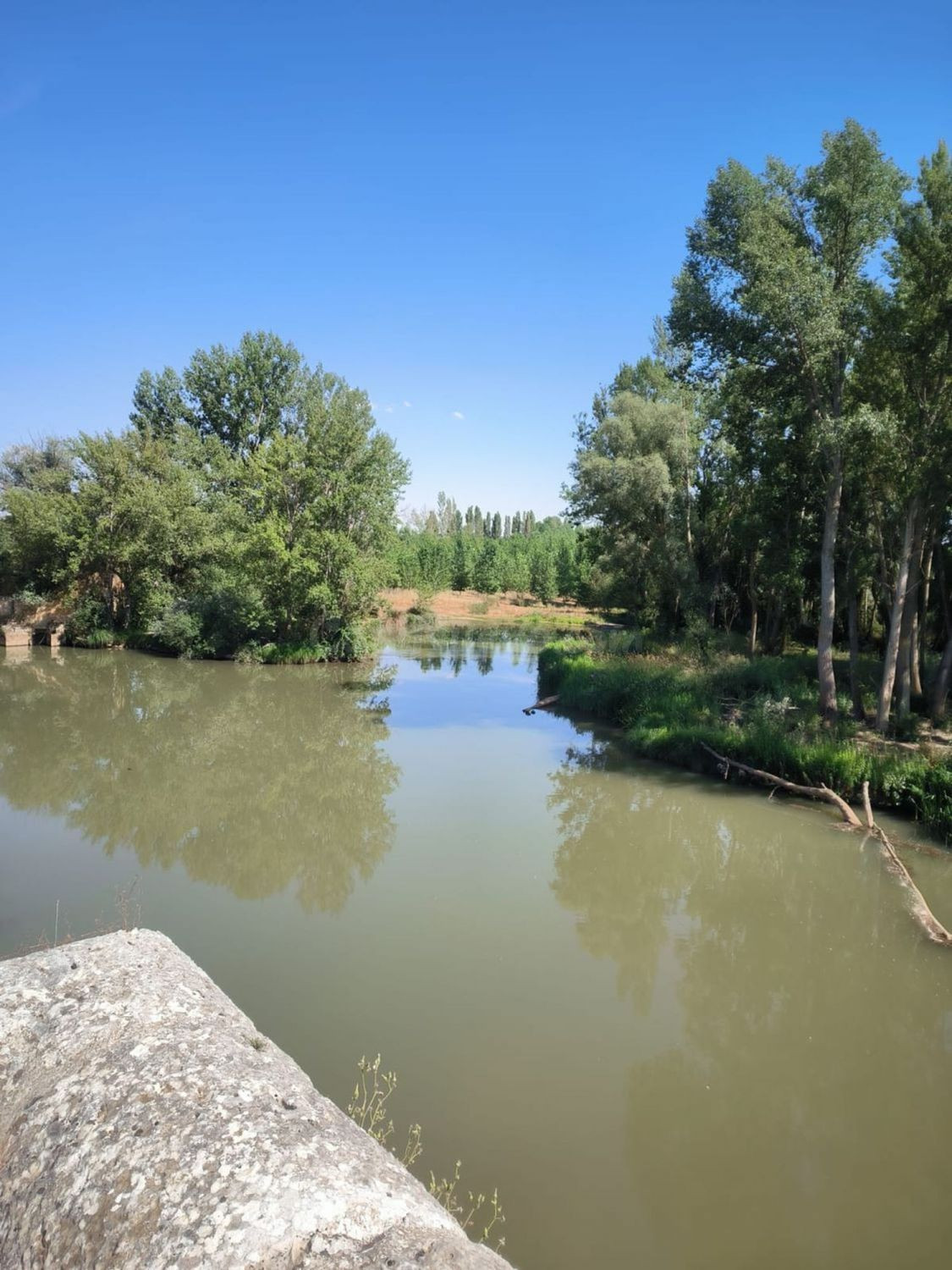 Finca rústica 6 habitaciones 450m² en venta - Castilla y leo - foto 5