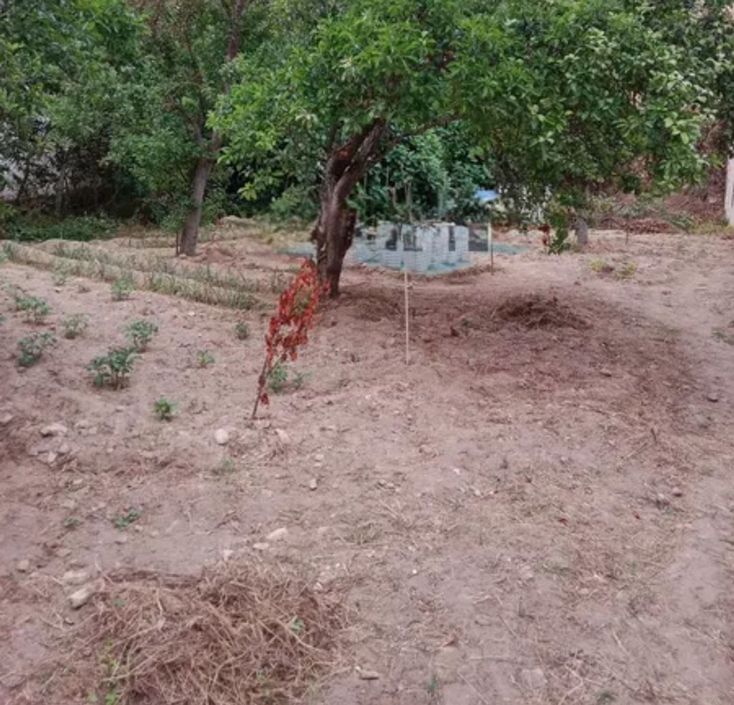 Finca rústica 252m² en venta - Northern spain - foto 2