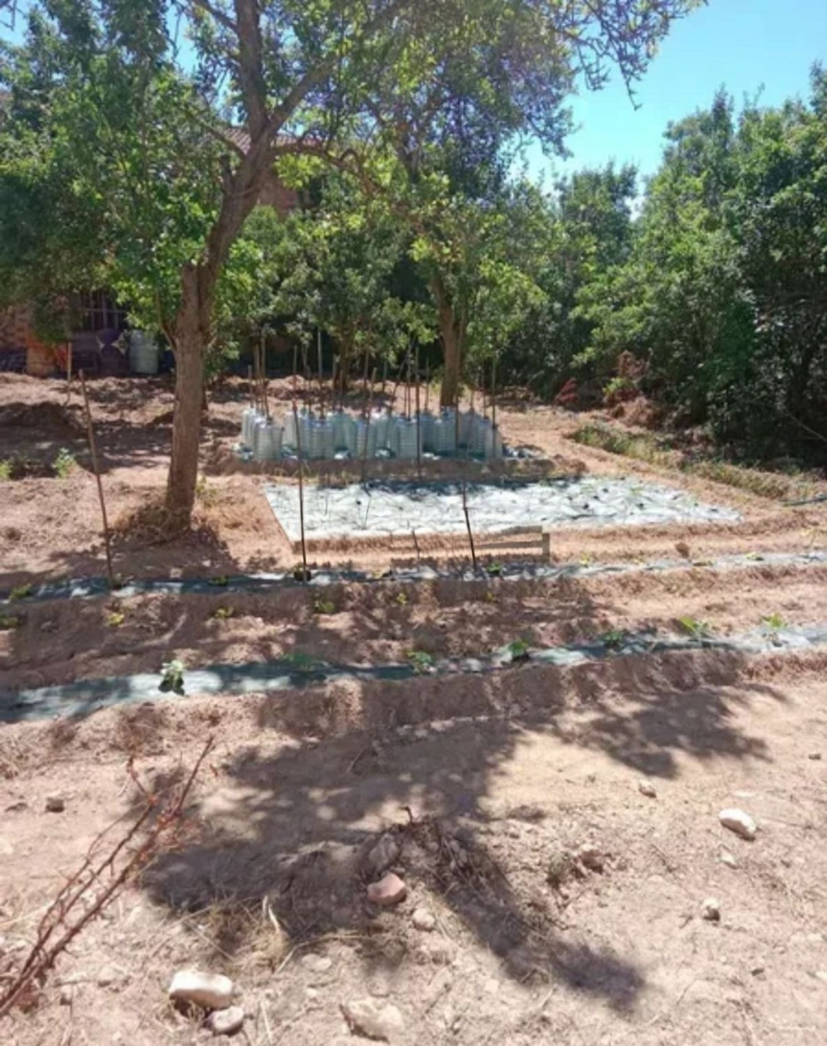 Finca rústica 252m² en venta - Northern spain - foto 3