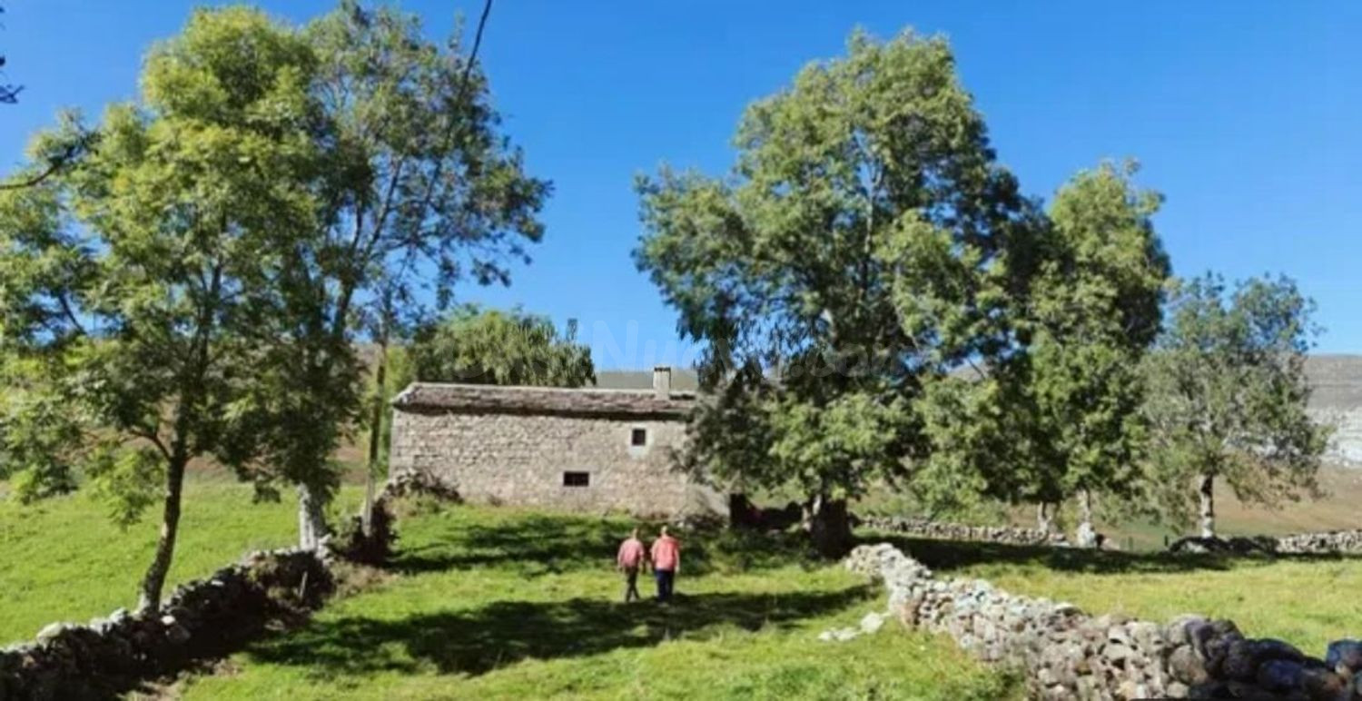 finca rustica - foto 3