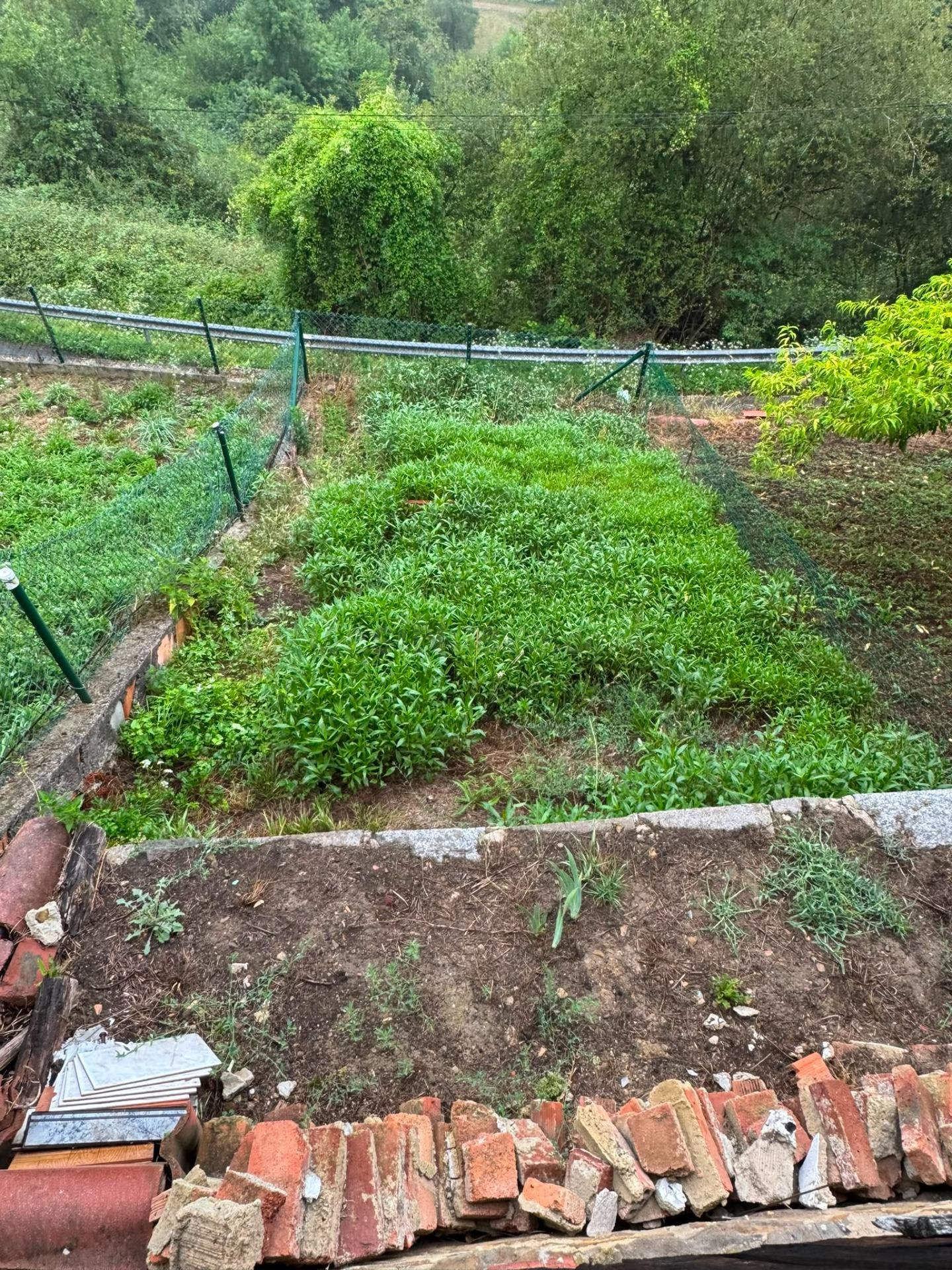 Encantadora Casa en la zona de  Mieres: Naturaleza y Confort