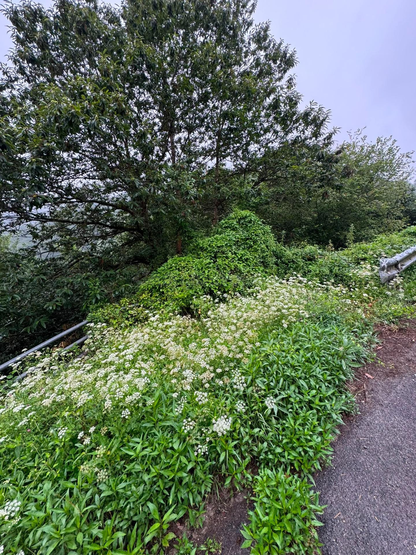 Encantadora Casa en la zona de  Mieres: Naturaleza y Confort - foto 4
