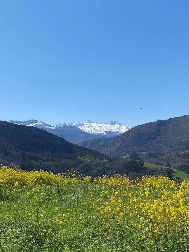 Oportunidad única en Llanes: Terreno Rústico con Vistas al M