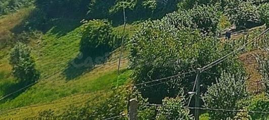 HUERTA EN SALCEDO DE QUIRÓS CON POSIBILIDAD DE ADQUIRIR CASA CON PANERA Y PAJAR