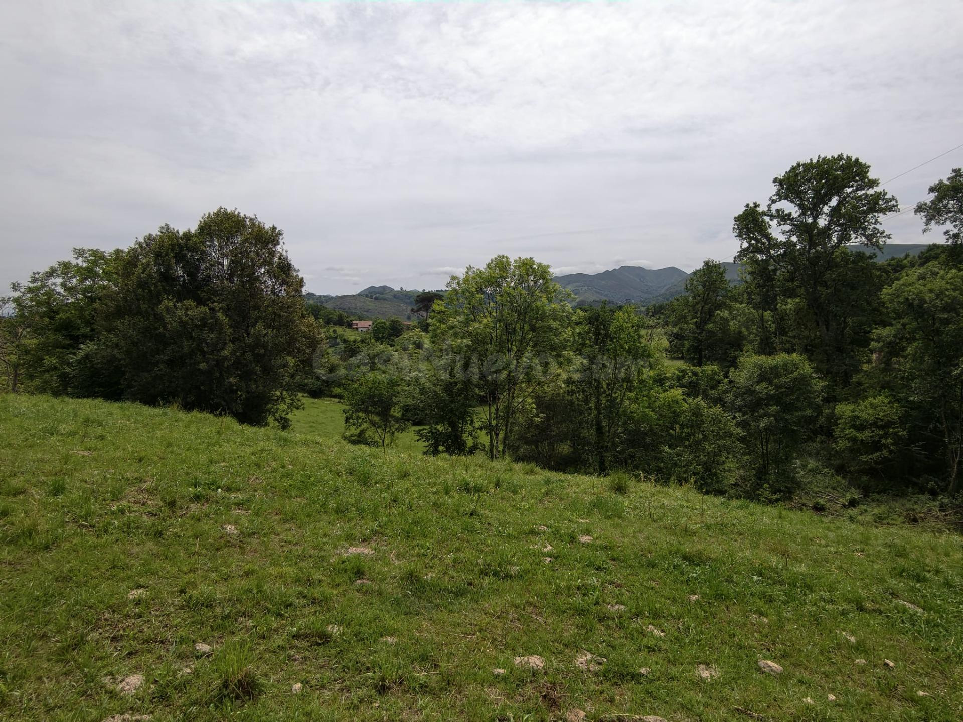 Parcela en la zona de  San Román de PILOÑA: Tu Refugio Natur - foto 3