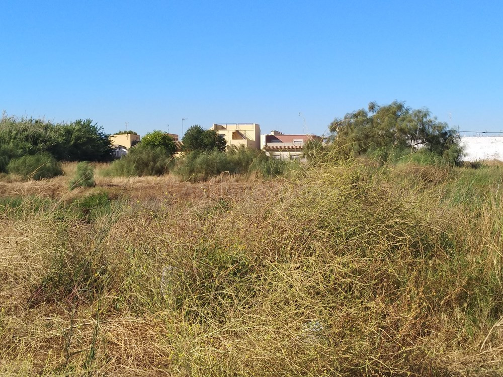 Solar 1000m² en venta - Centro - foto 2