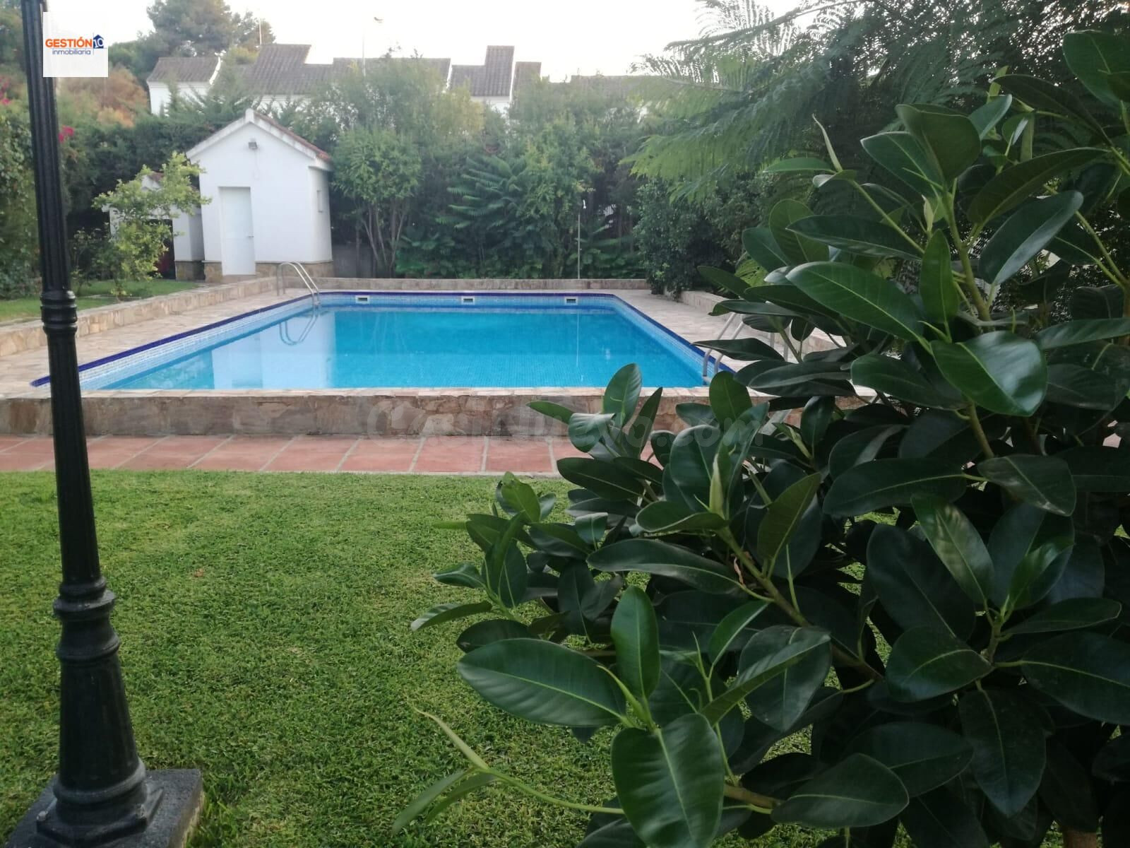 Casa independiente en parcela de 975 m2 con piscina - foto 2