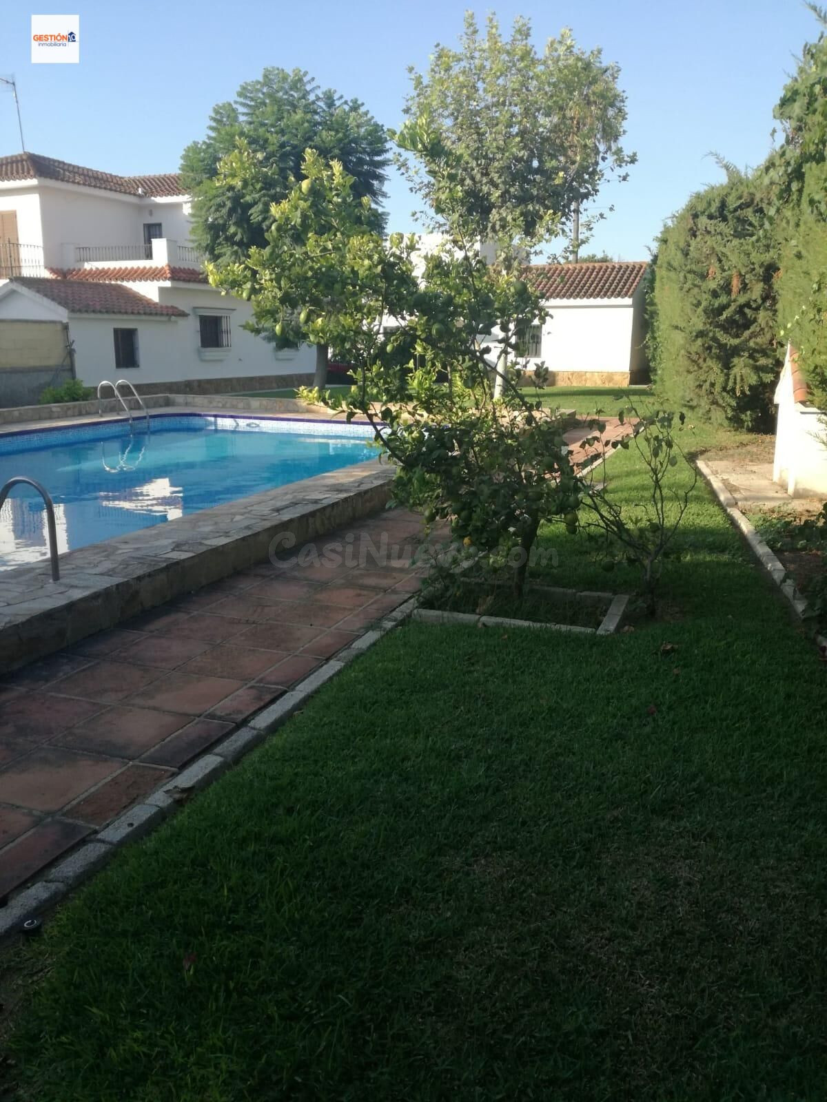 Casa independiente en parcela de 975 m2 con piscina - foto 4