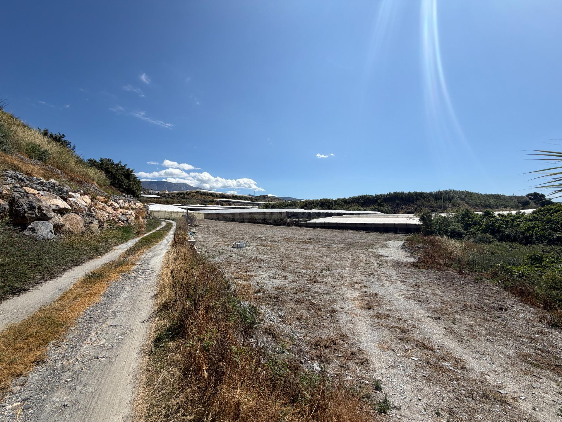 Tu terreno en el campo, a un paso de Motril. - foto 2