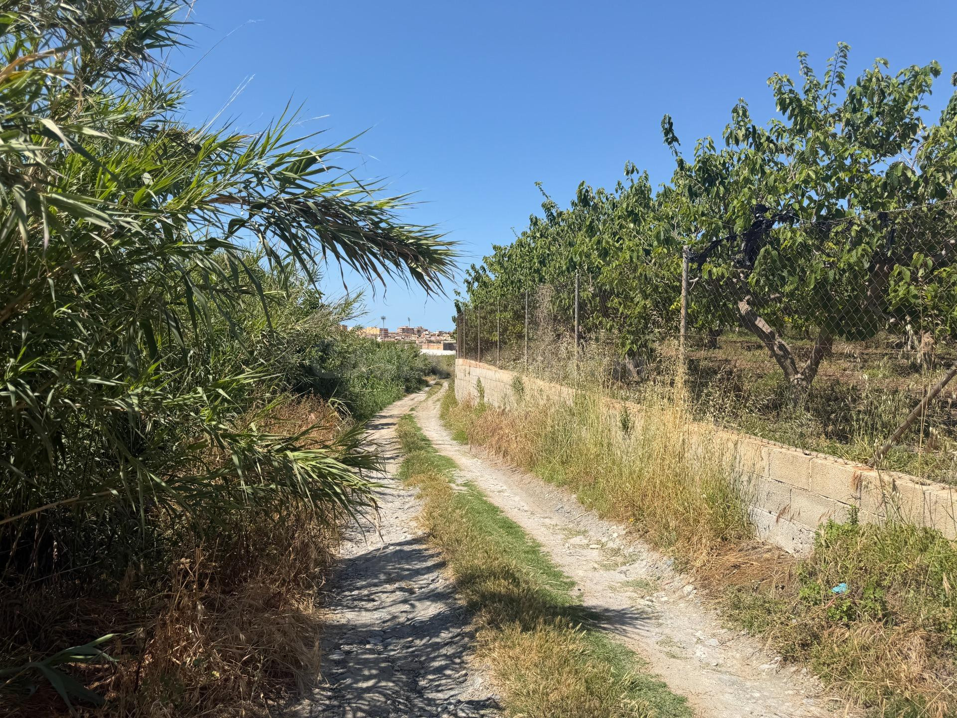 Tu terreno en el campo, a un paso de Motril. - foto 4